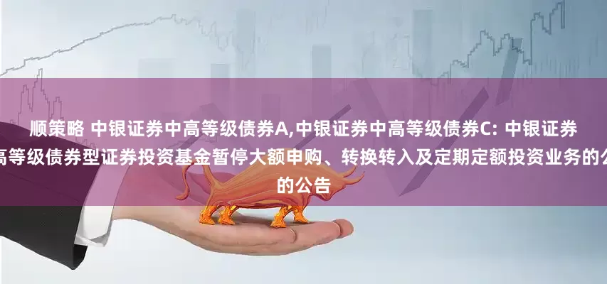 顺策略 中银证券中高等级债券A,中银证券中高等级债券C: 中银证券中高等级债券型证券投资基金暂停大额申购、转换转入及定期定额投资业务的公告